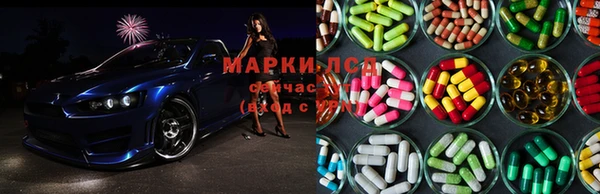 бошки Богданович
